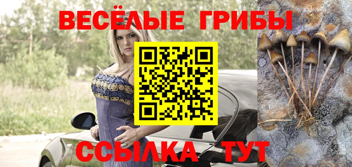 Галлюциногенные грибы Psilocybine cubensis Ярцево